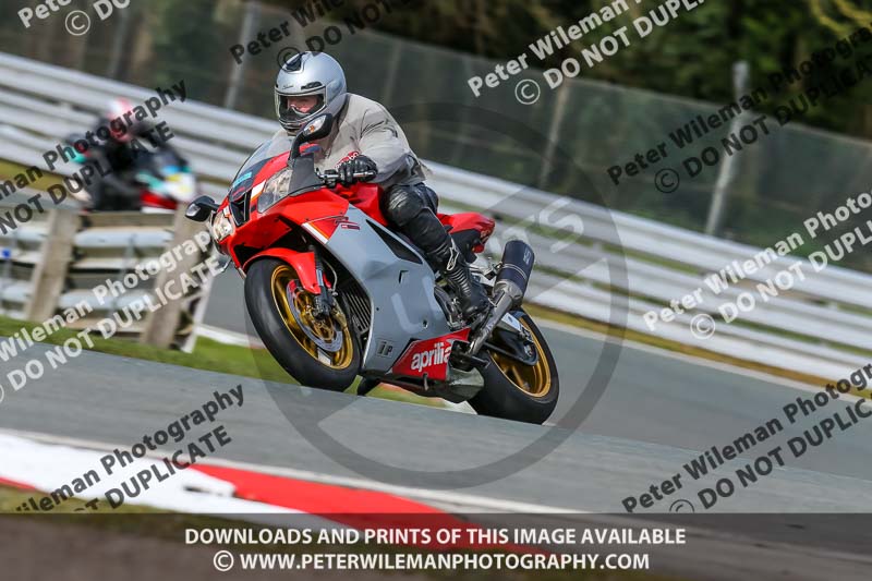 Oulton Park 21st March 2020;PJ Motorsport Photography 2020;anglesey;brands hatch;cadwell park;croft;donington park;enduro digital images;event digital images;eventdigitalimages;mallory;no limits;oulton park;peter wileman photography;racing digital images;silverstone;snetterton;trackday digital images;trackday photos;vmcc banbury run;welsh 2 day enduro